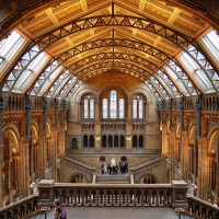London: Natural History Museum