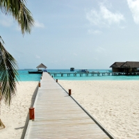 Malediven: Mirihi Island Resort