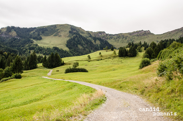 Bregenzerwald