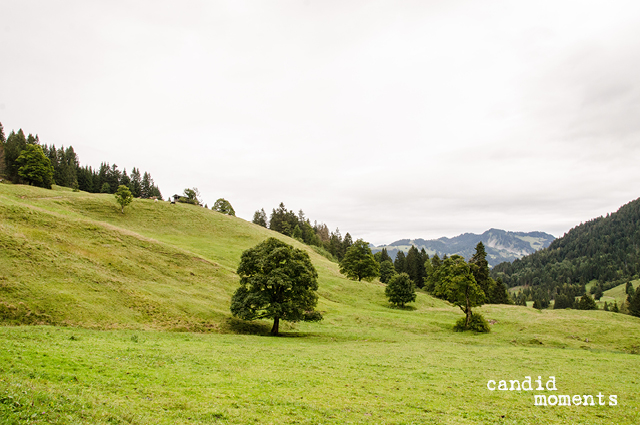 Bregenzerwald