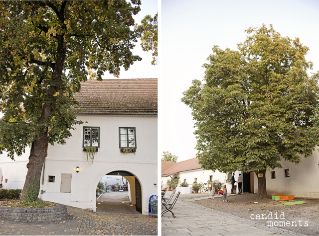 Hochzeit_109_candid-moments