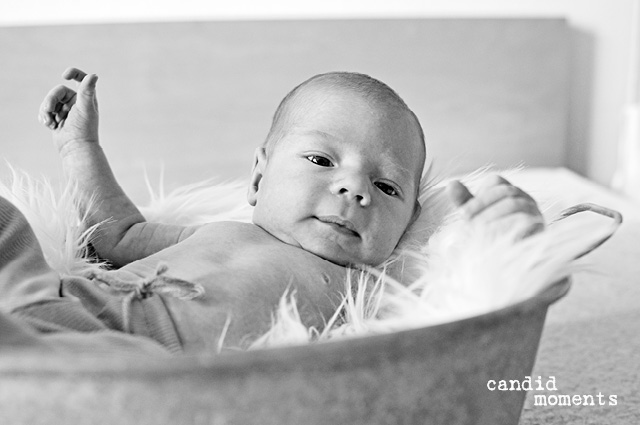 Baby-Shooting silvia |candid moments