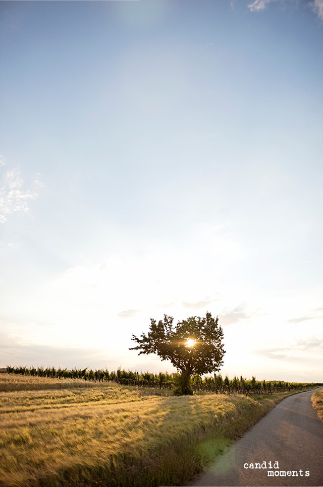 Sommer-Shooting