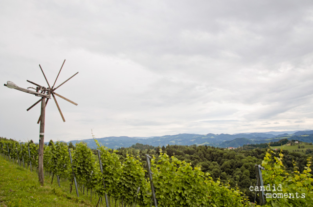 Sudsteiermark candid moments fotografie