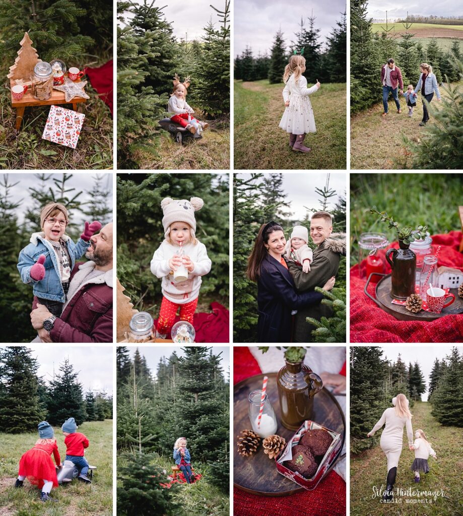 Mini-Shooting Weihnachten im Christbaumwald