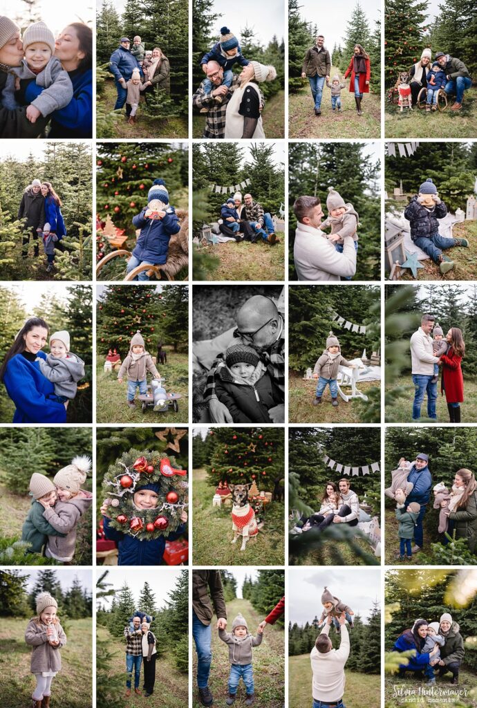 Mini-Shooting Weihnachten im Christbaumwald